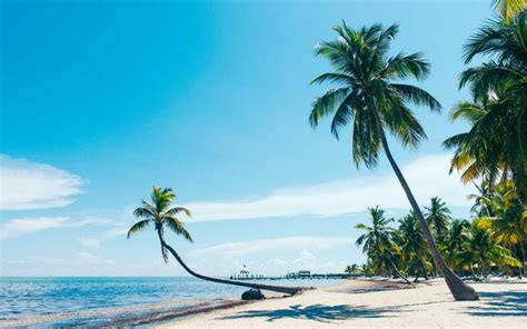 visit florida website.